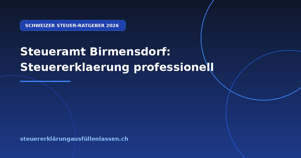 Steueramt Birmensdorf: Steuererklaerung professionell - Professionelle Steuerberatung Schweiz